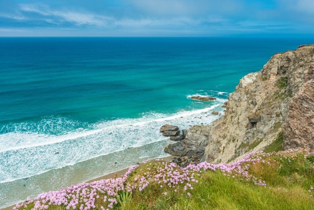 Summer scenery from the clifftop between Chapel Porth Beach and Porthtowan, Cornwall
